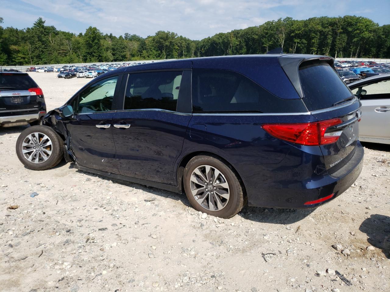 2024 HONDA ODYSSEY EXL VIN:5FNRL6H66RB070093