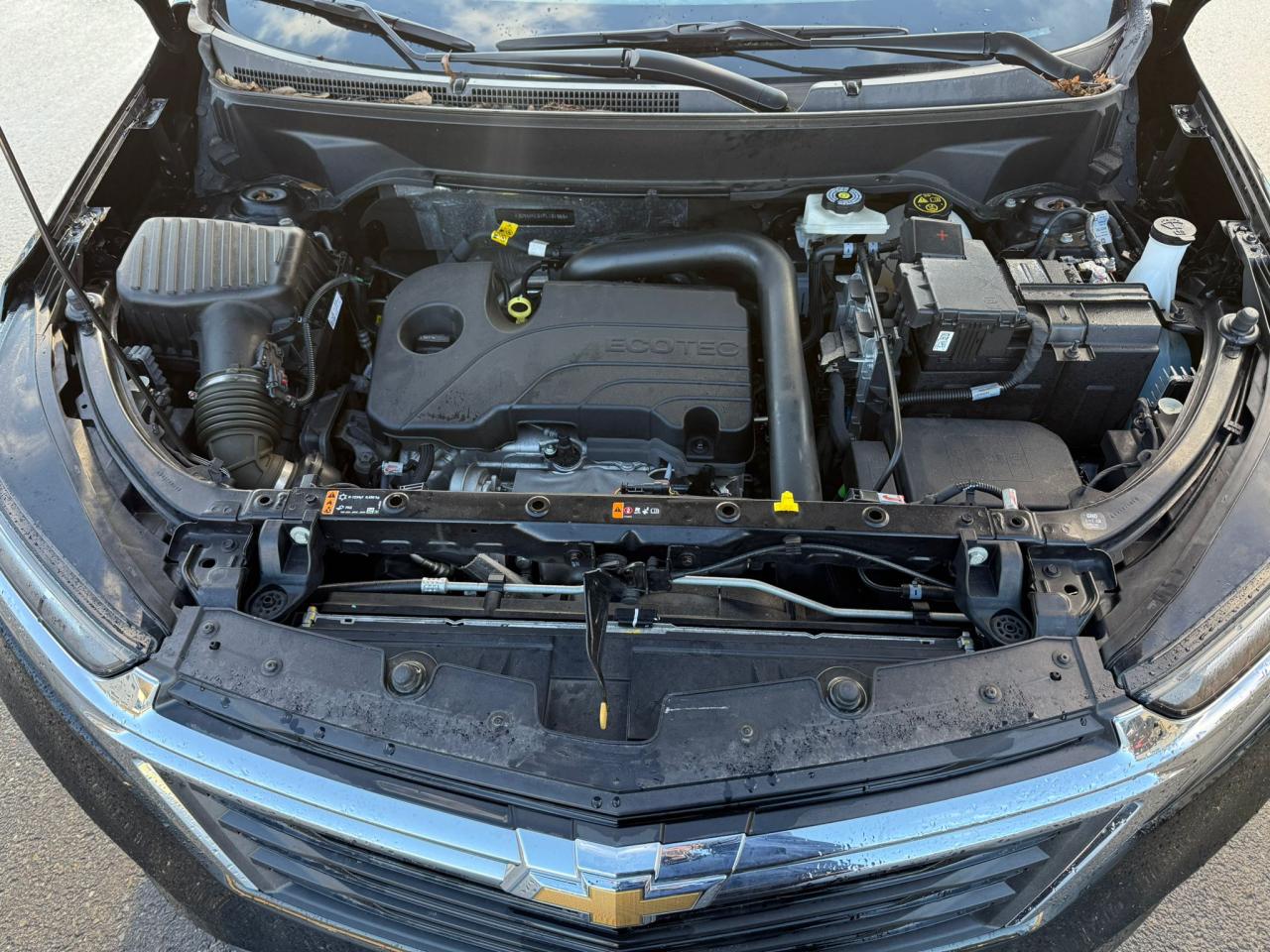 2023 CHEVROLET EQUINOX LT VIN:3GNAXKEG1PL181969