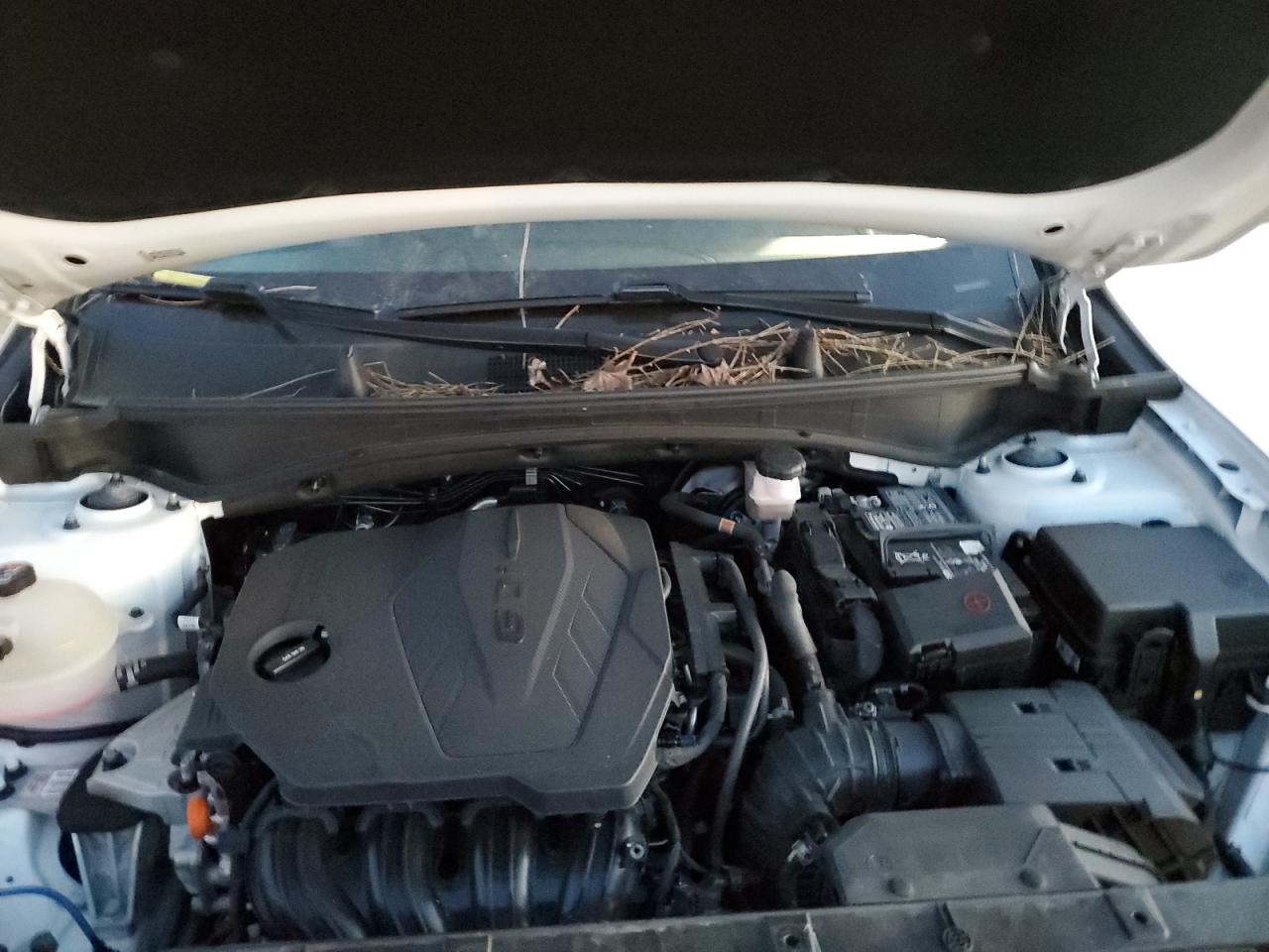 2023 KIA SPORTAGE EX VIN:5XYK33AF8PG074596