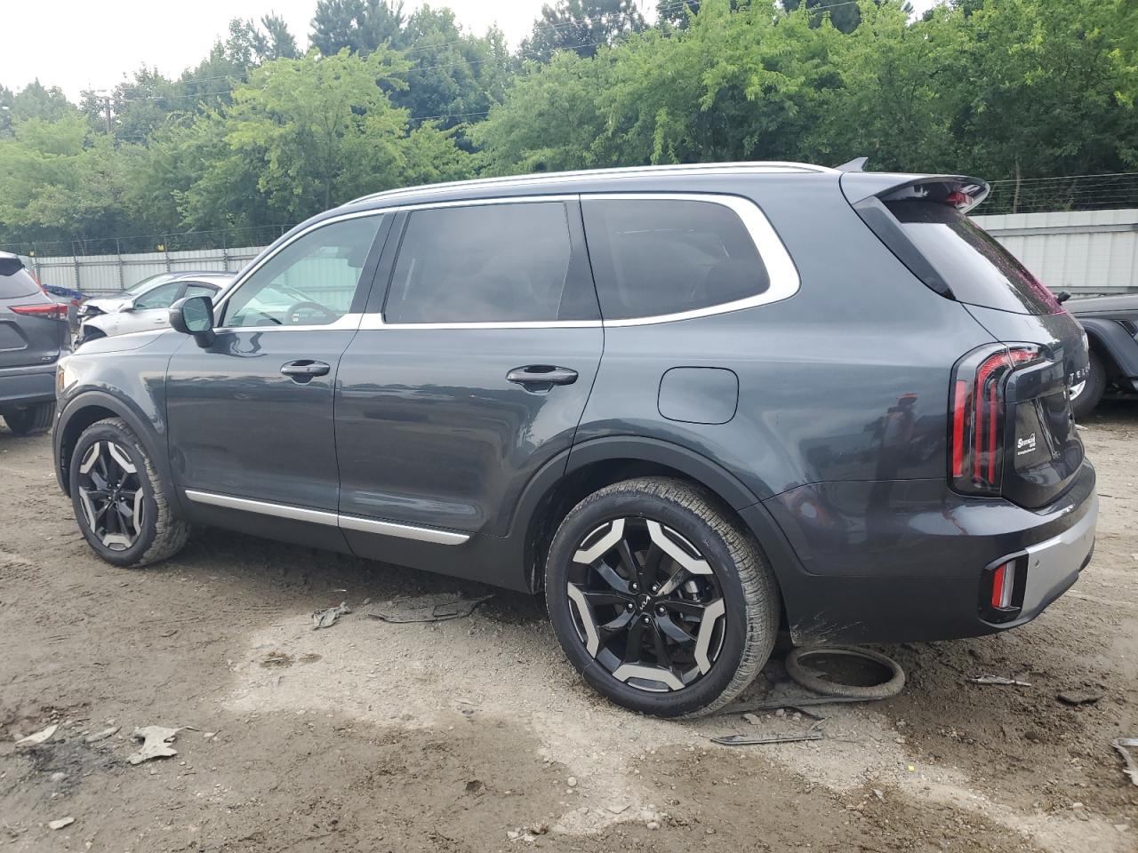 2024 KIA TELLURIDE EX VIN:5XYP3DGC8RG507281