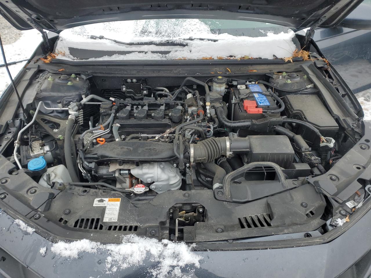 2023 HONDA ACCORD EX VIN:1HGCY1F31PA002441