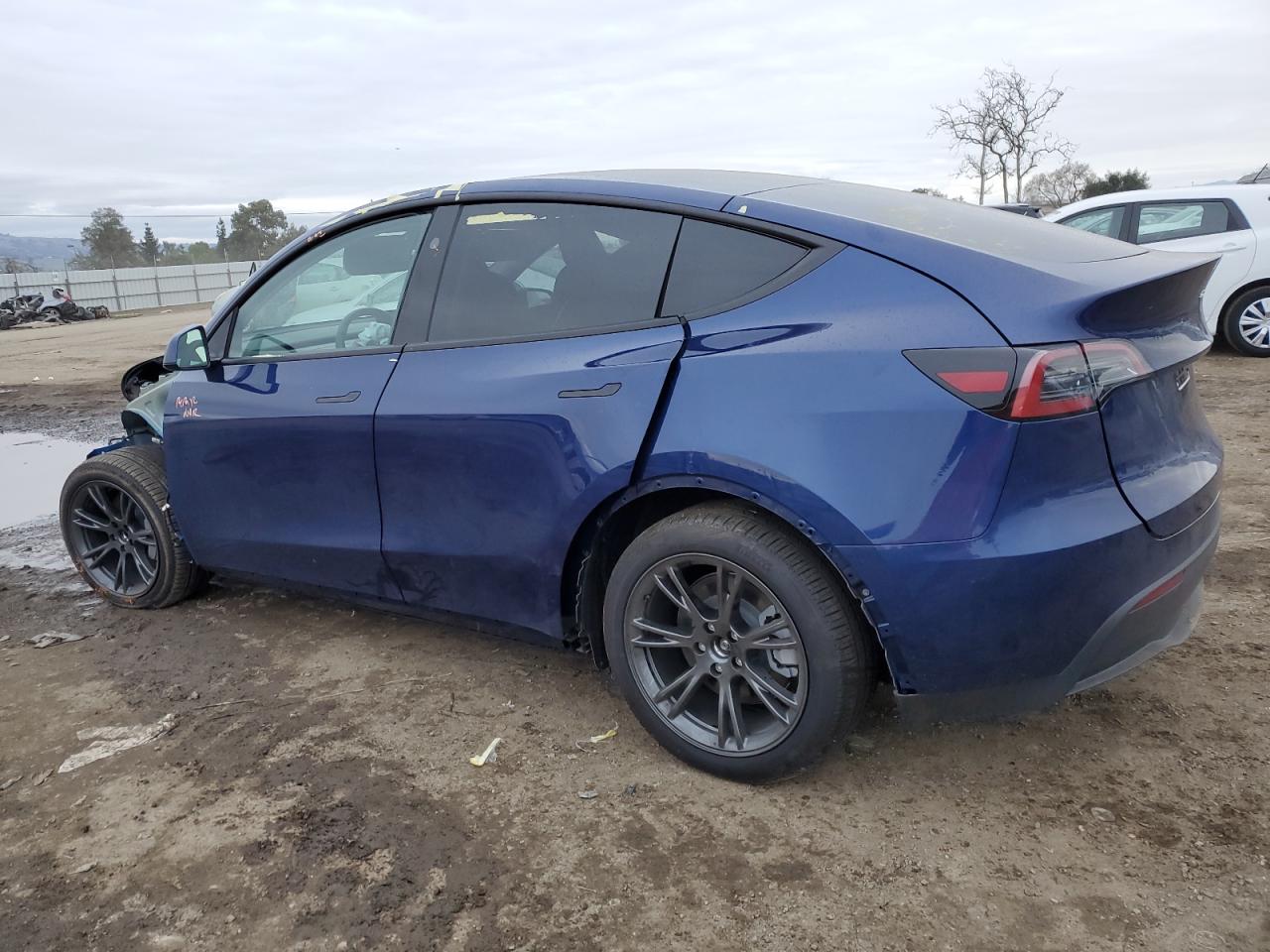 2024 TESLA MODEL Y  VIN:7SAYGDED7RF181553