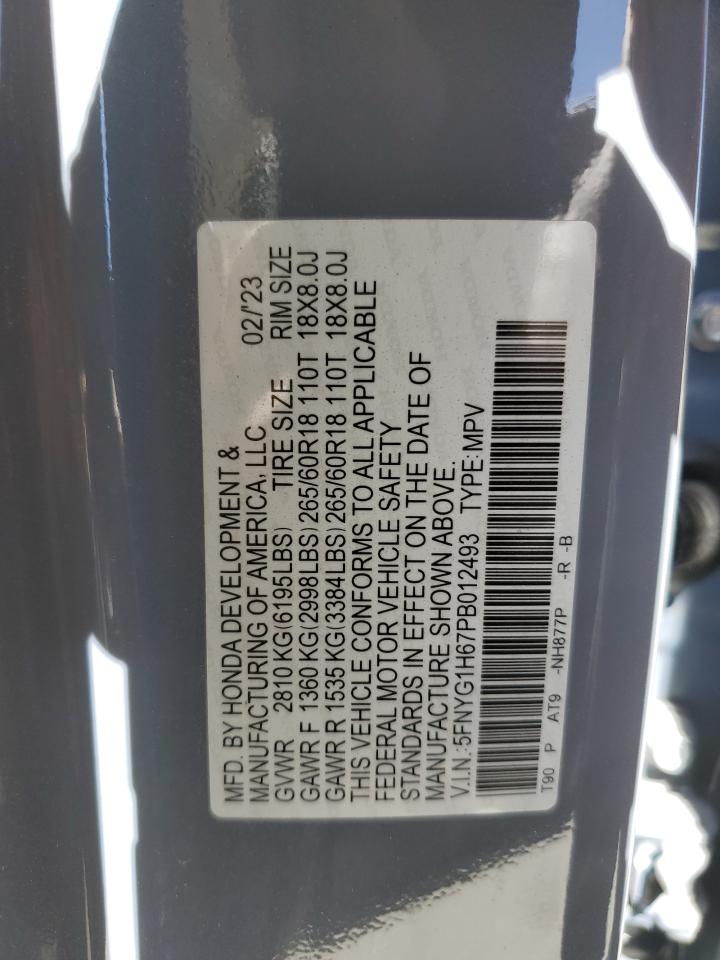 2023 HONDA PILOT TRAILSPORT VIN:5FNYG1H67PB012493