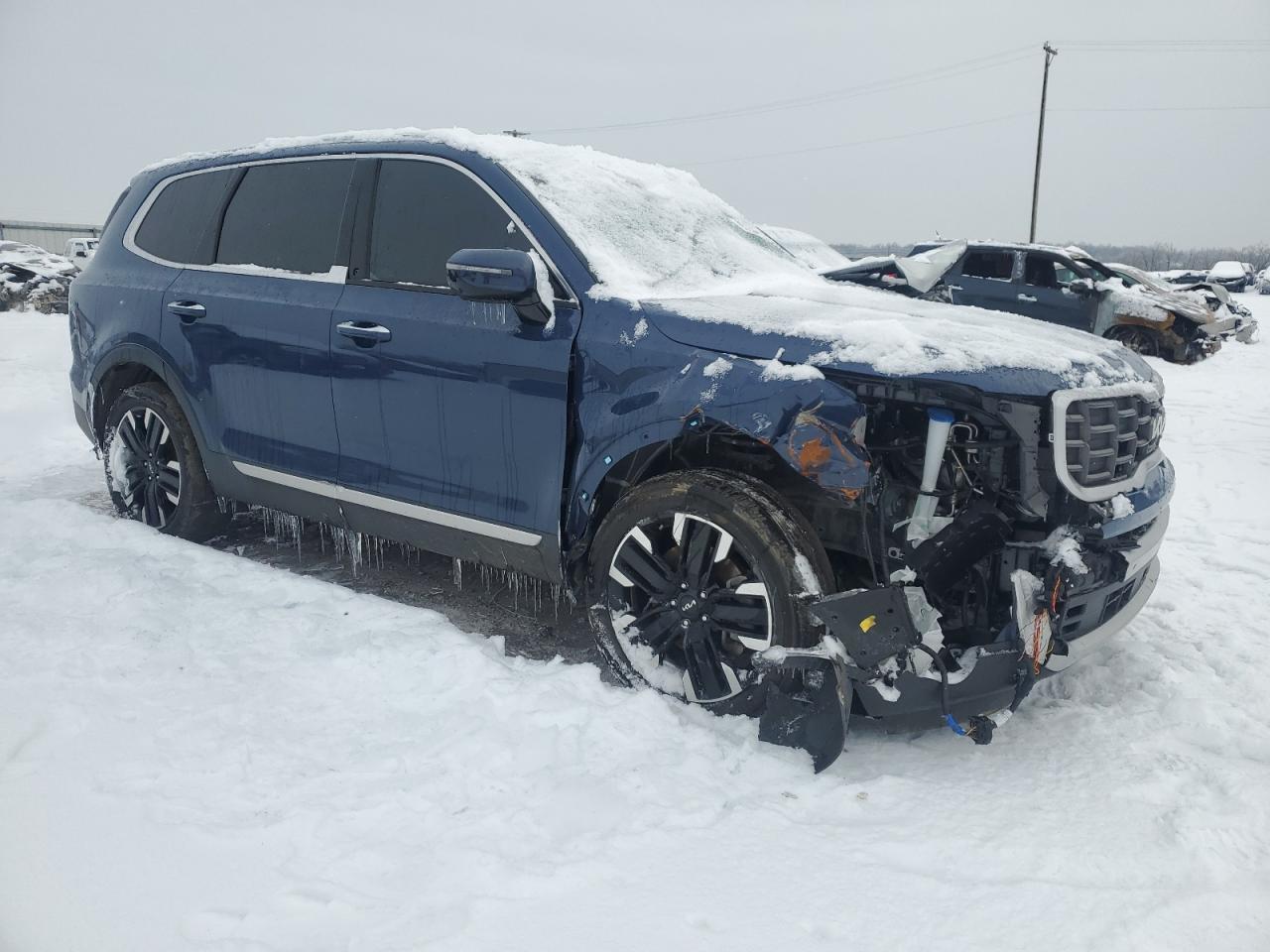 2024 KIA TELLURIDE SX VIN:5XYP5DGC9RG419754