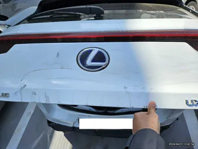 2020 Lexus UX 250 JTHR6JBH5L2068428 VIN:JTHR6JBH5L2068428