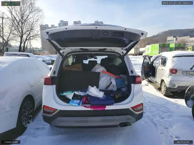 2019 Hyundai Santa FE KMHS381ABKU177949 VIN:KMHS381ABKU177949