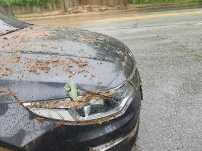 2017 Kia K5 654KMKNAGU411BHA1 VIN:654KMKNAGU411BHA1