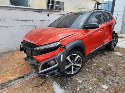 2018 Hyundai Kona KMHK5816GJU259493 VIN:KMHK5816GJU259493