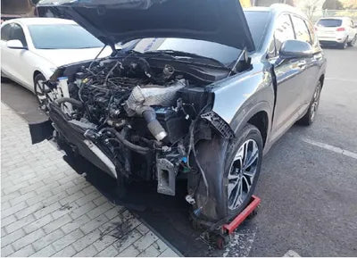 2019 Hyundai Santa FE KMHS281BBKU066495 VIN:KMHS281BBKU066495