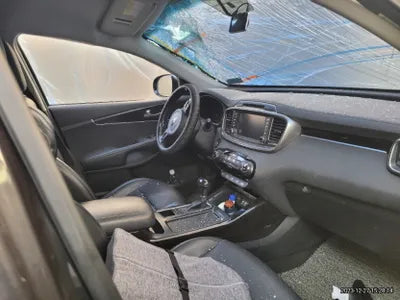 2016 Kia Sorento KNAPS81ADGA264790 VIN:KNAPS81ADGA264790