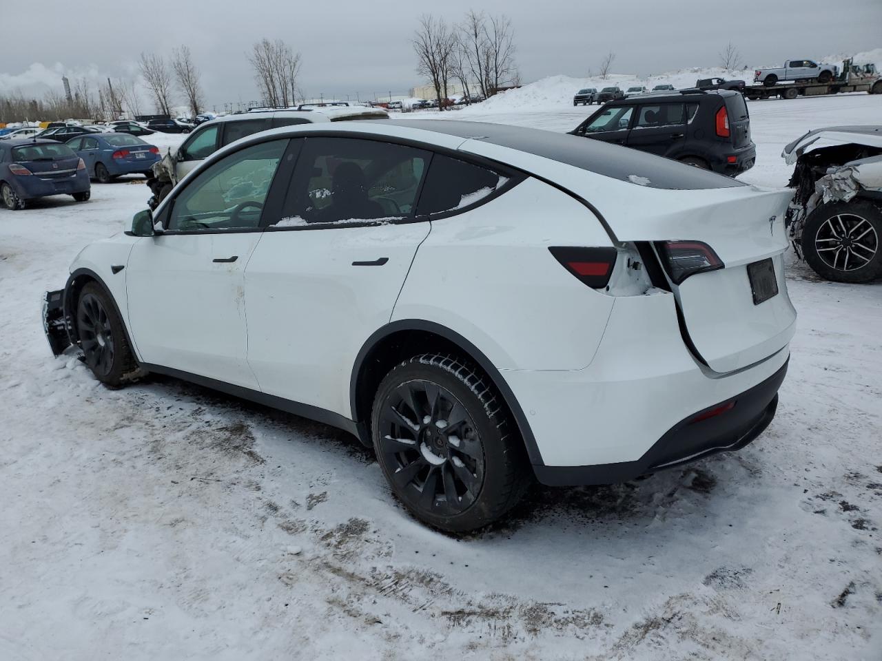 2022 TESLA MODEL Y  VIN:7SAYGDEE2NF534817