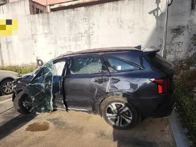 2023 Kia Sorento KNARL81GBPA179984 VIN:KNARL81GBPA179984