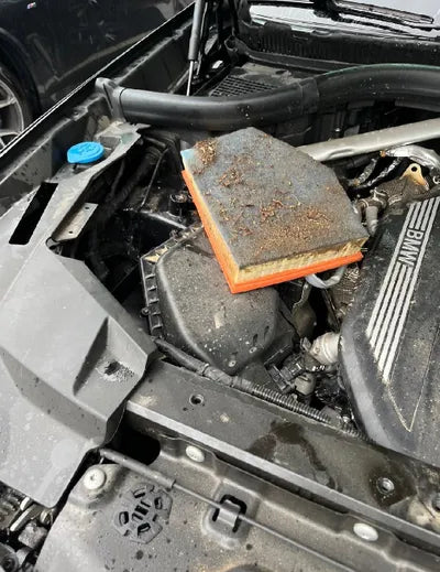 2021 BMW 530 WBAJU8101M9E86180 VIN:WBAJU8101M9E86180