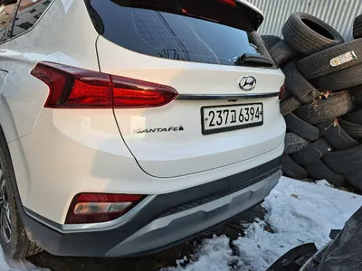 2020 Hyundai Santa FE KMHS381BBLU254272 VIN:KMHS381BBLU254272