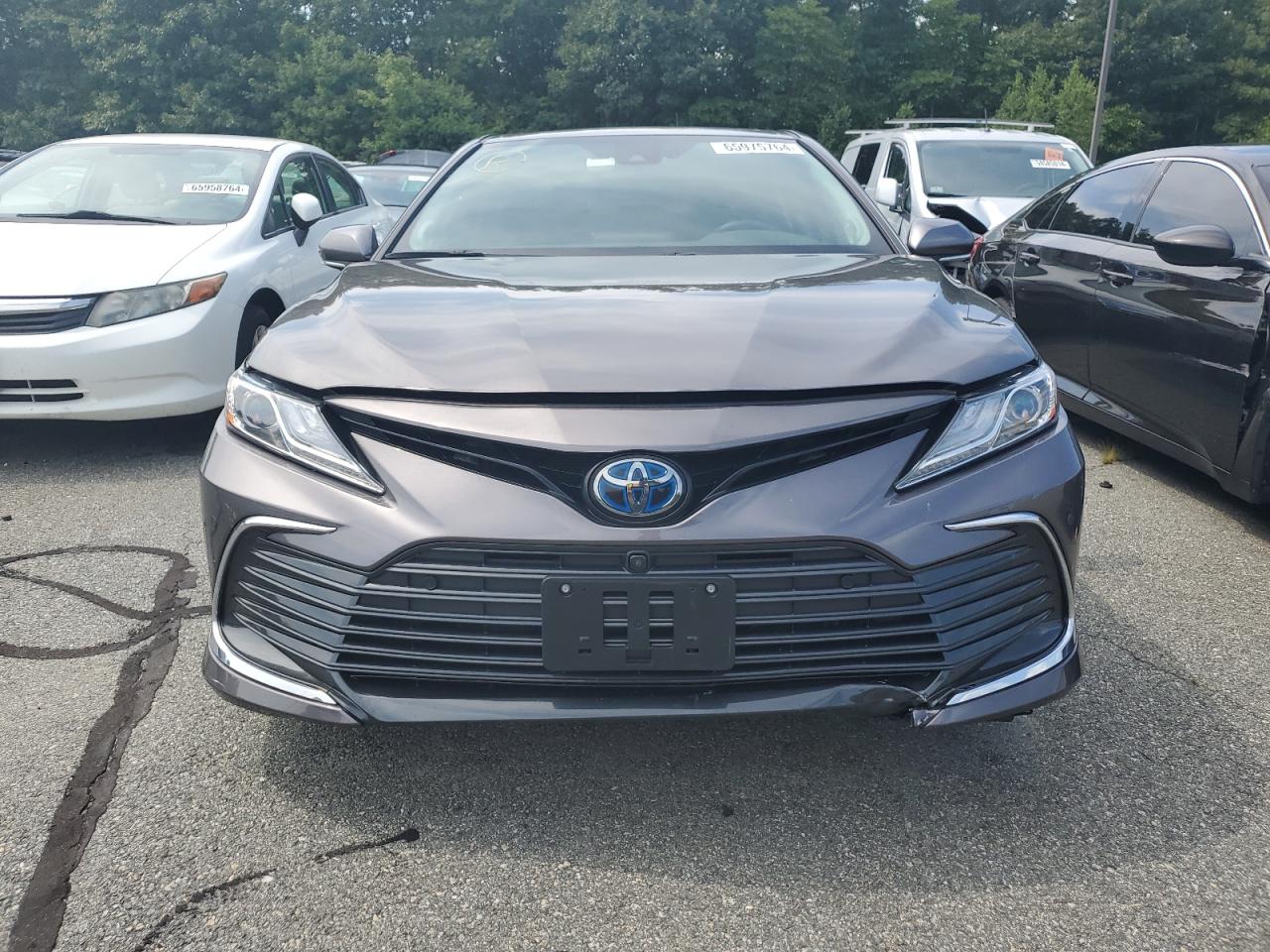 2022 TOYOTA CAMRY XLE VIN:4T1F31AK3NU591525