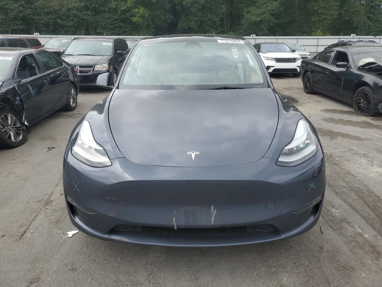 2023 TESLA MODEL Y  VIN:7SAYGDEE6PA043036