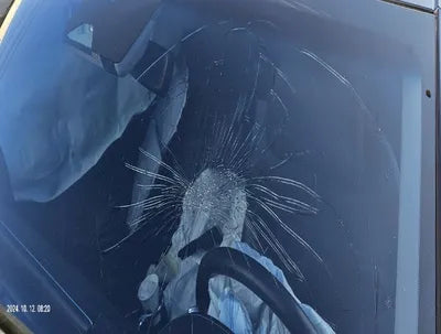 2020 Genesis G80 VIN: