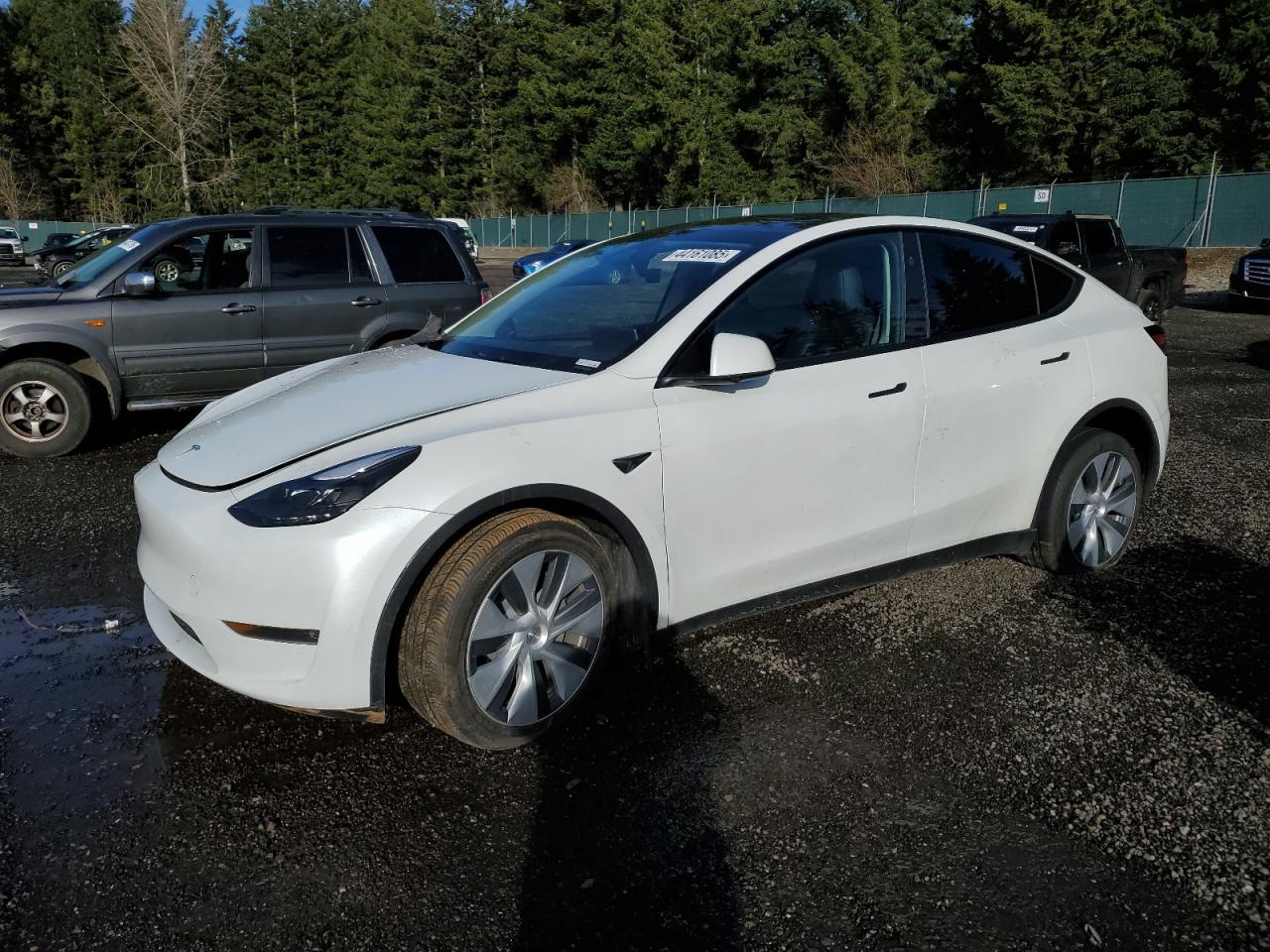 2024 TESLA MODEL Y  VIN:7SAYGAEE1RF988982