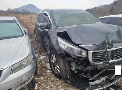 2017 Kia Carnival KNAMC81ABHS256128 VIN:KNAMC81ABHS256128