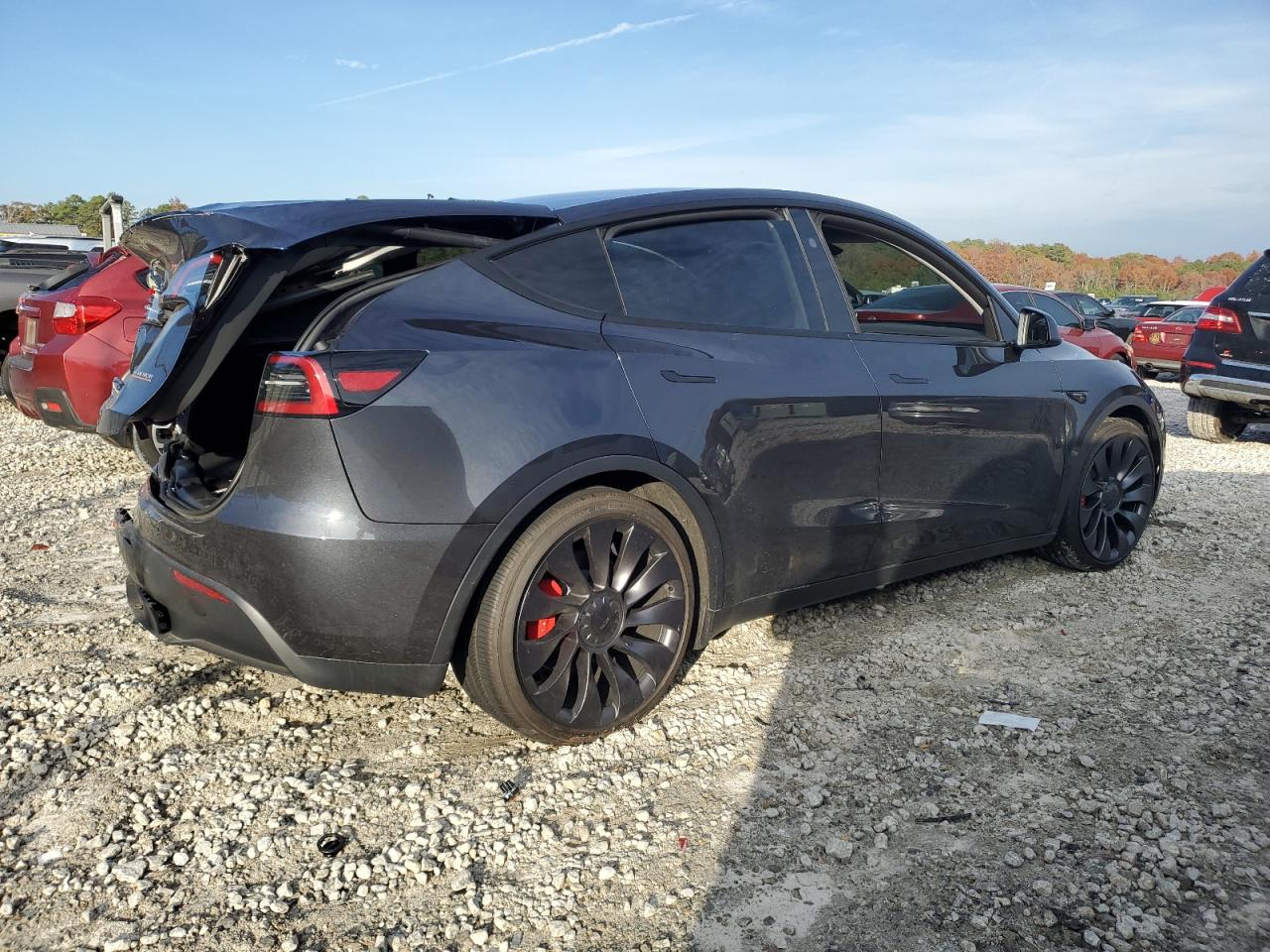 2024 TESLA MODEL Y  VIN:7SAYGDEF3RA323556