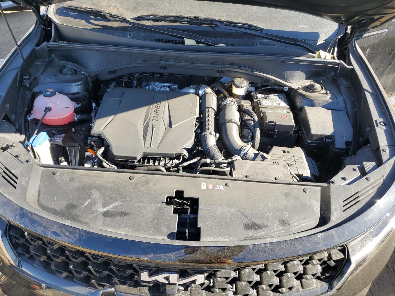 2023 KIA SORENTO SX VIN:5XYRKDLF5PG204497