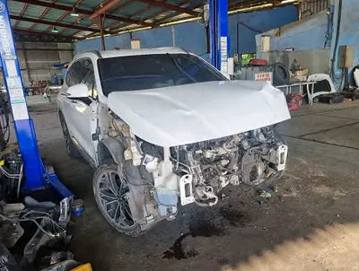 2019 Hyundai Santa FE KMHS381BBKU019825 VIN:KMHS381BBKU019825