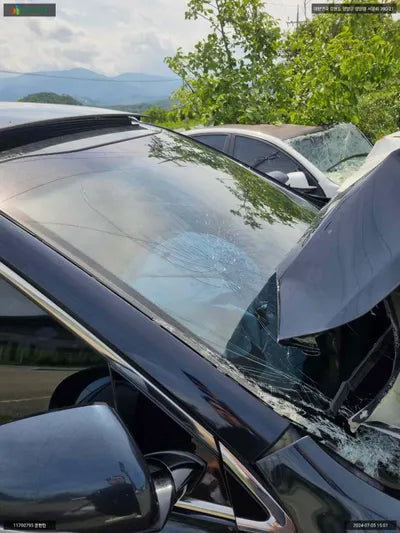 2017 Kia Sorento KNAPH81ABHA313653 VIN:KNAPH81ABHA313653