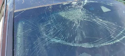 2019 Honda Accord 1HGCV3690KA510669 VIN:1HGCV3690KA510669