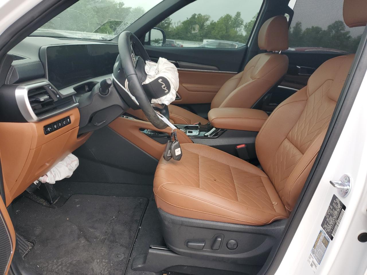 2024 KIA TELLURIDE EX VIN:5XYP3DGC4RG468009