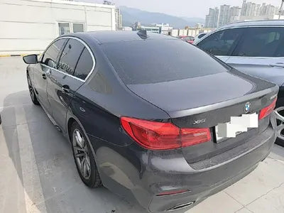 2019 BMW 520 WBAJF510XLWW55120 VIN:WBAJF510XLWW55120