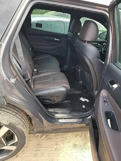 2021 Hyundai Santa FE KMHS381LHMU394906 VIN:KMHS381LHMU394906
