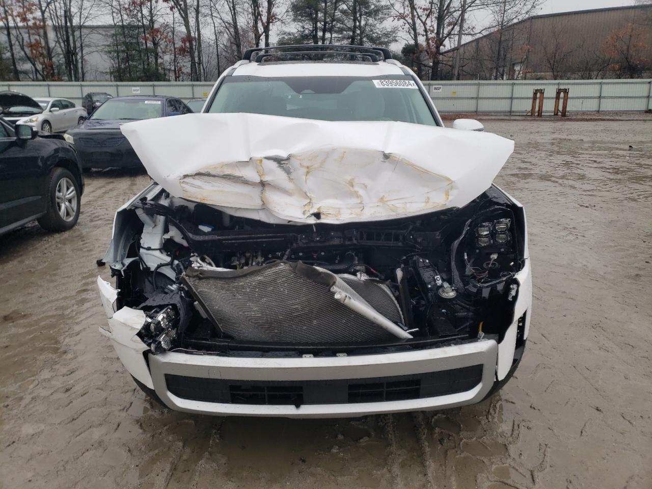 2024 KIA TELLURIDE EX VIN:5XYP34GCXRG487275