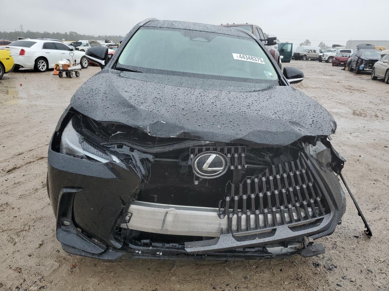 2024 LEXUS NX 250 PREMIUM VIN:2T2GDCAZ8RC014499