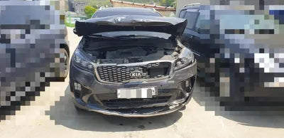 2017 Kia Sorento KNAPS81BBJA425950 VIN:KNAPS81BBJA425950