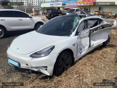 2020 Tesla Model 3 5YJ3E1EB9LF695079 VIN:5YJ3E1EB9LF695079