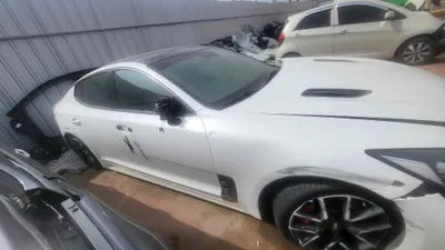 2020 Kia Stinger KNAE351ABLS085915 VIN:KNAE351ABLS085915