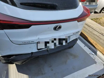 2020 Lexus UX 250 VIN: