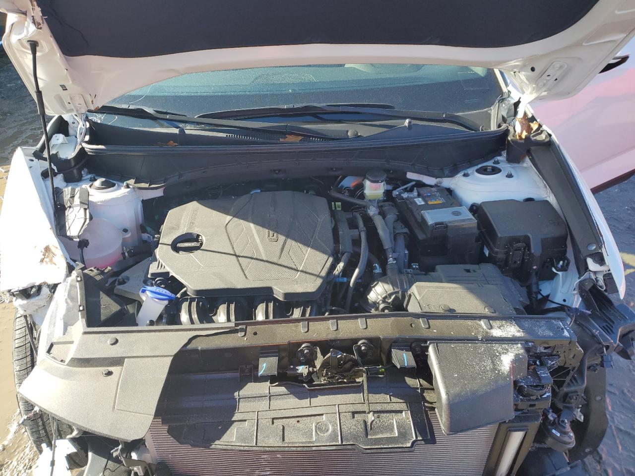 2024 HYUNDAI SANTA CRUZ SEL VIN:5NTJBDDEXRH116593