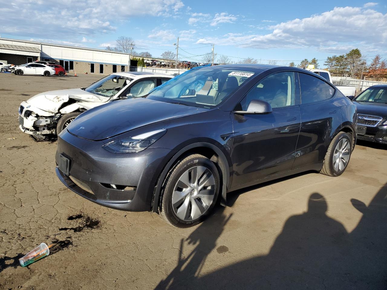 2024 TESLA MODEL Y  VIN:7SAYGDEE2RA232477