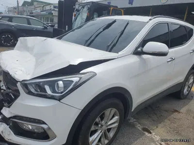 2018 Hyundai Santa FE KMHSW81UBJU802940 VIN:KMHSW81UBJU802940