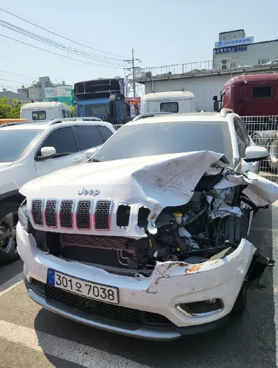 2021 Jeep Cherokee 1C4PJMDB0MD191514 VIN:1C4PJMDB0MD191514