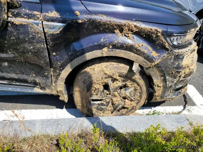 2023 Kia Sorento KNARL81GBPA144089 VIN:KNARL81GBPA144089
