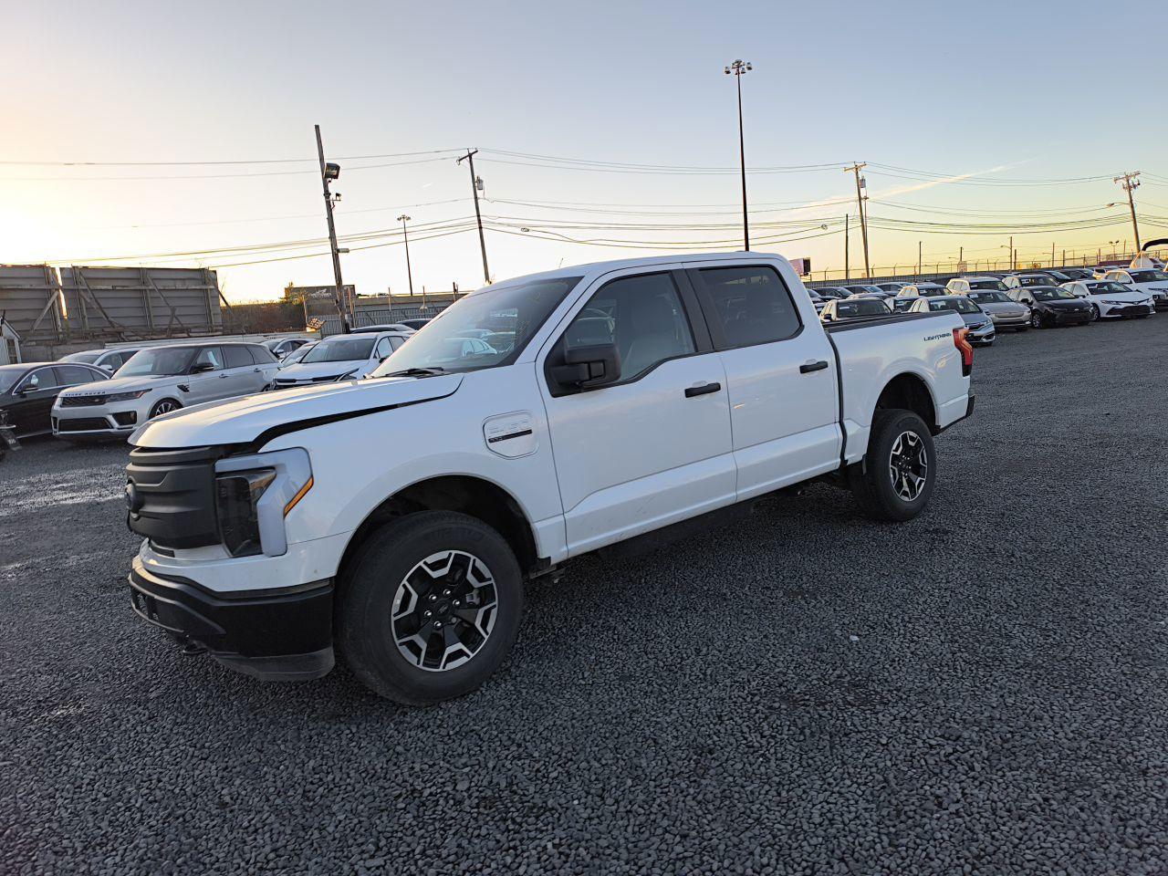 2023 FORD F150 LIGHTNING PRO VIN:1FTVW1EL6PWG44722
