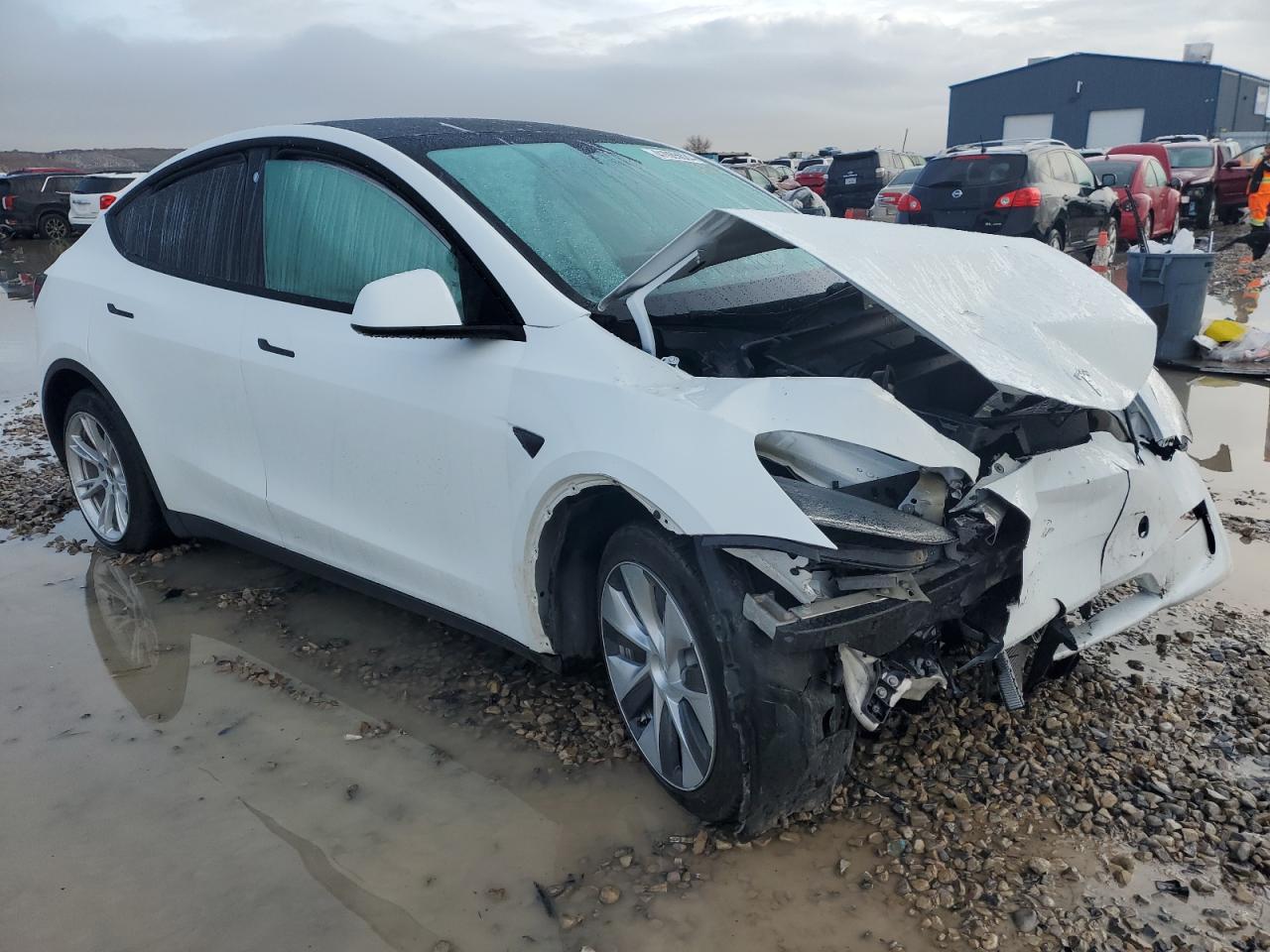 2023 TESLA MODEL Y  VIN:7SAYGDEE1PF600356