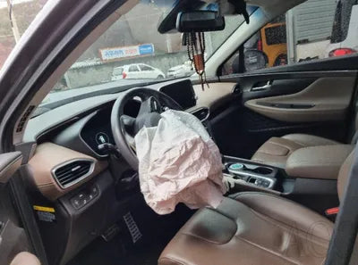 2019 Hyundai Santa FE KMHS381CBKU124651 VIN:KMHS381CBKU124651