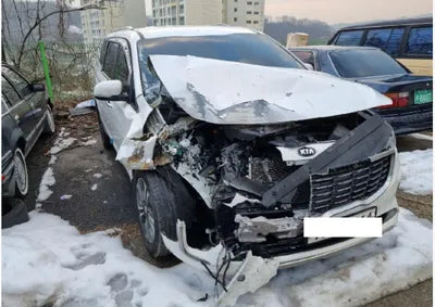 2019 Kia Carnival KNAMB81ABKS575292 VIN:KNAMB81ABKS575292