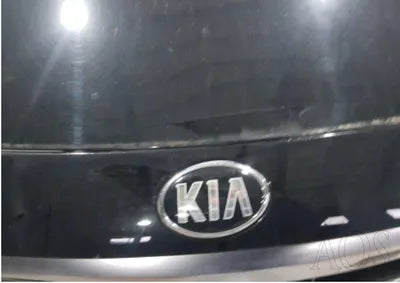 2016 Kia Carnival KNAMB81ABGS230350 VIN:KNAMB81ABGS230350