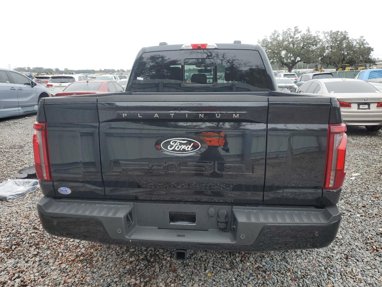 2024 FORD F150 PLATINUM VIN:1FTFW7L8XRFA82719
