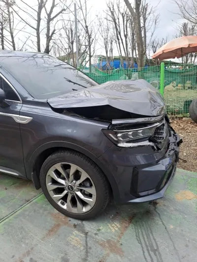 2021 Kia Sorento KNARL81BGMA103199 VIN:KNARL81BGMA103199