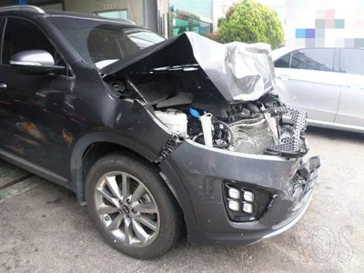 2017 Kia Sorento 963KMKNAPS81ABHA3 VIN:963KMKNAPS81ABHA3